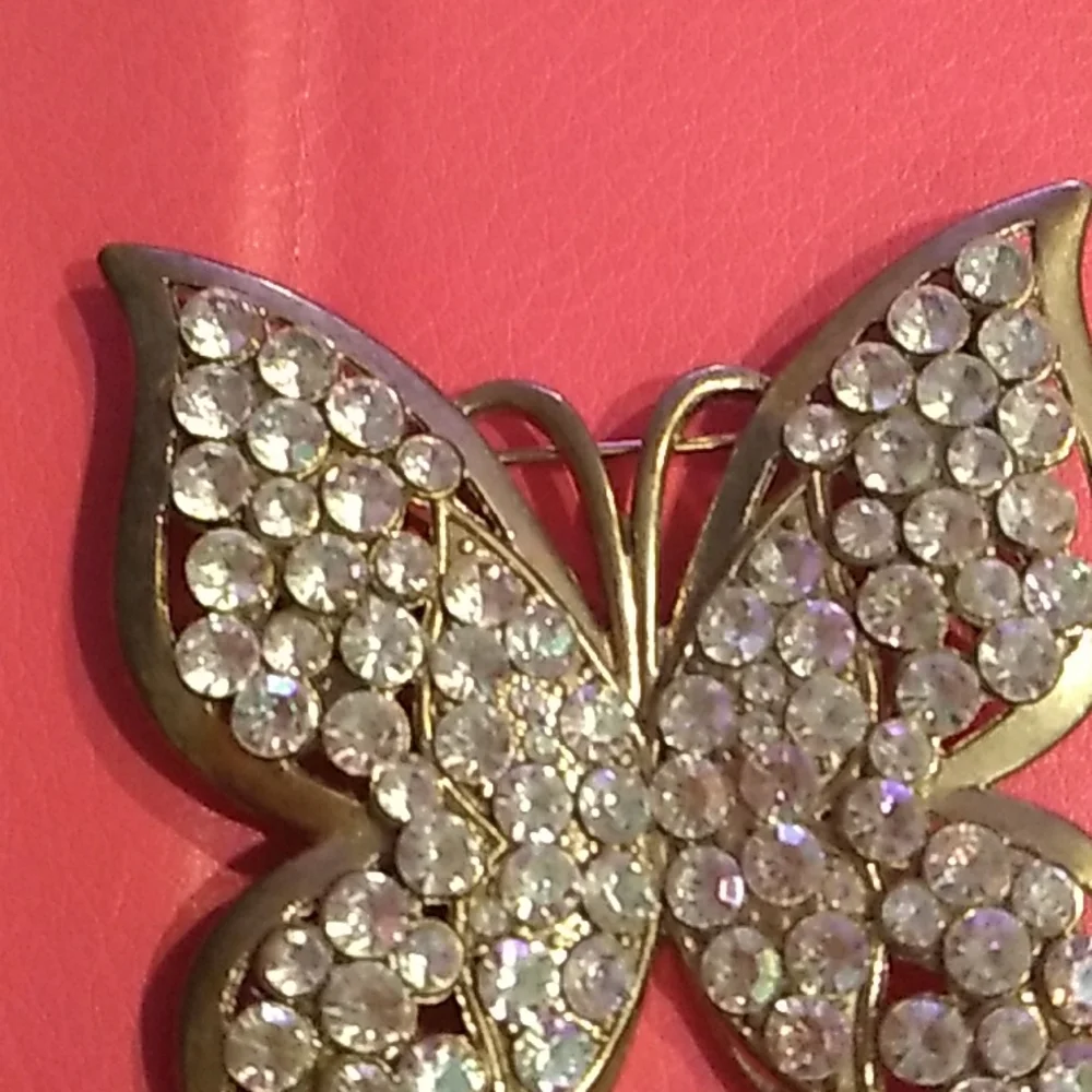 Vintage butterfly themed